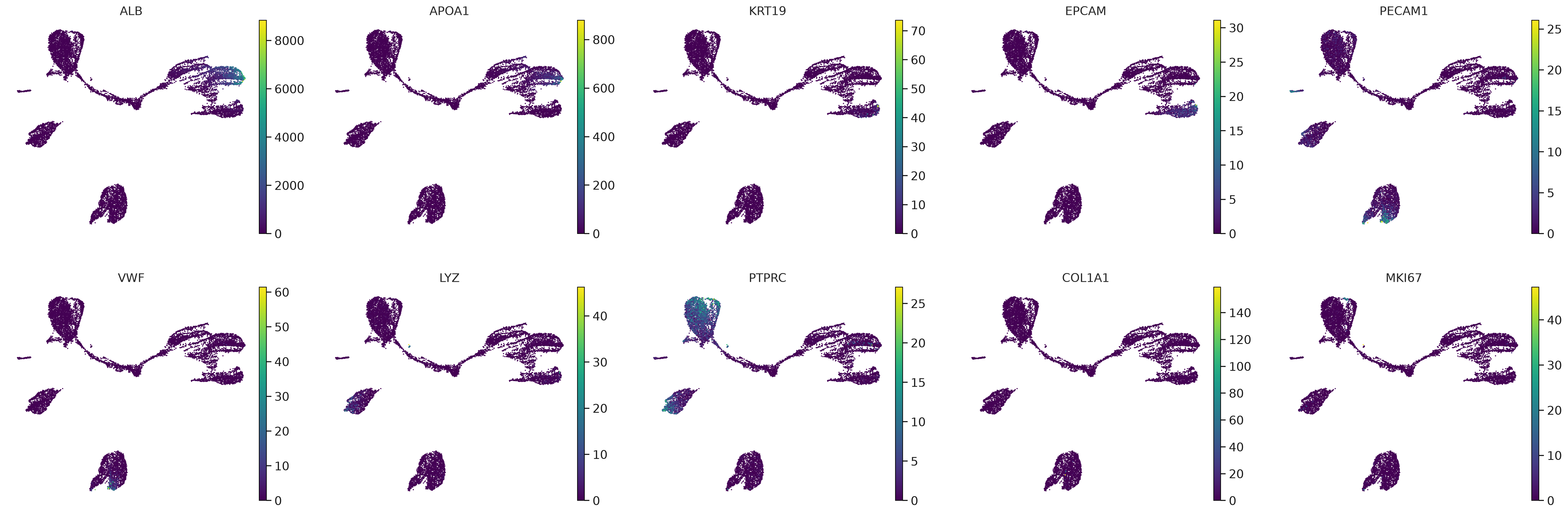 Aizarani human liver marker genes on UMAP