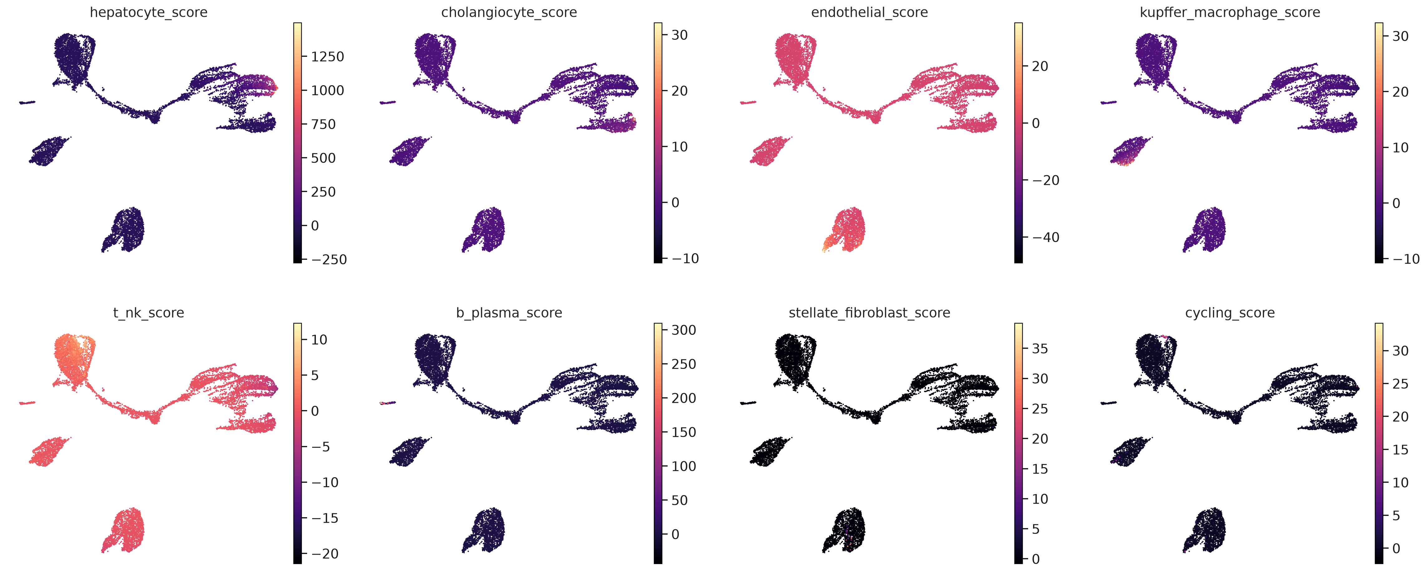 Aizarani human liver signature scores on UMAP