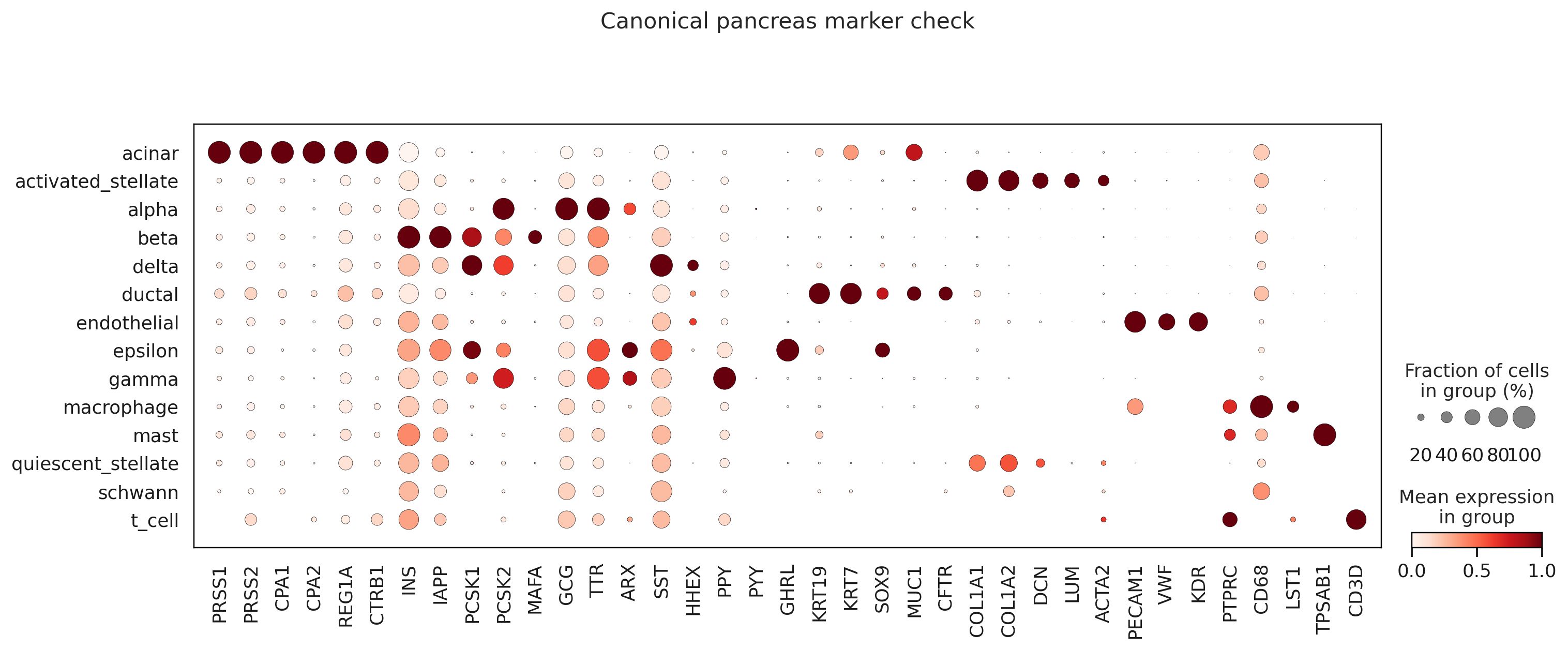 Baron human pancreas marker dotplot