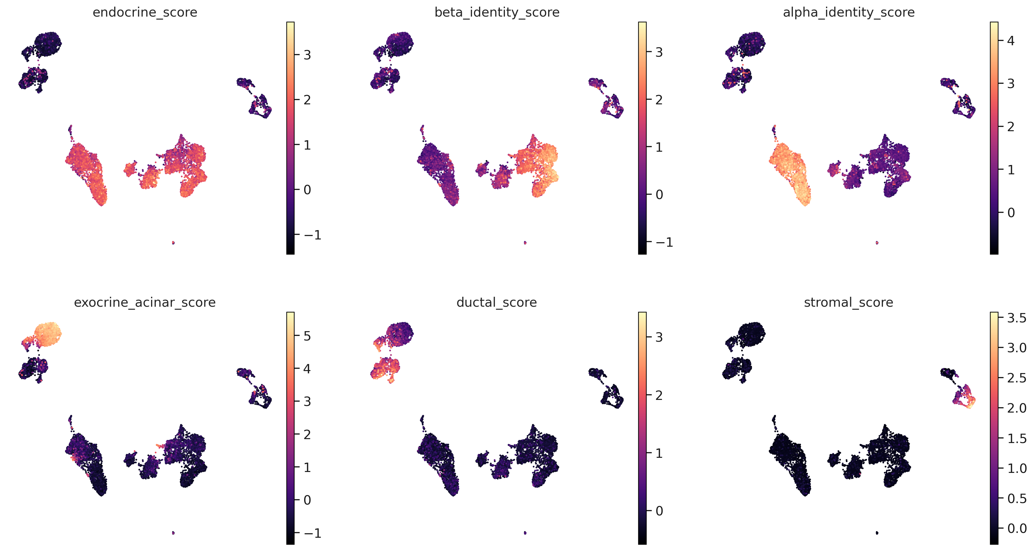 Baron human pancreas signature scores on UMAP