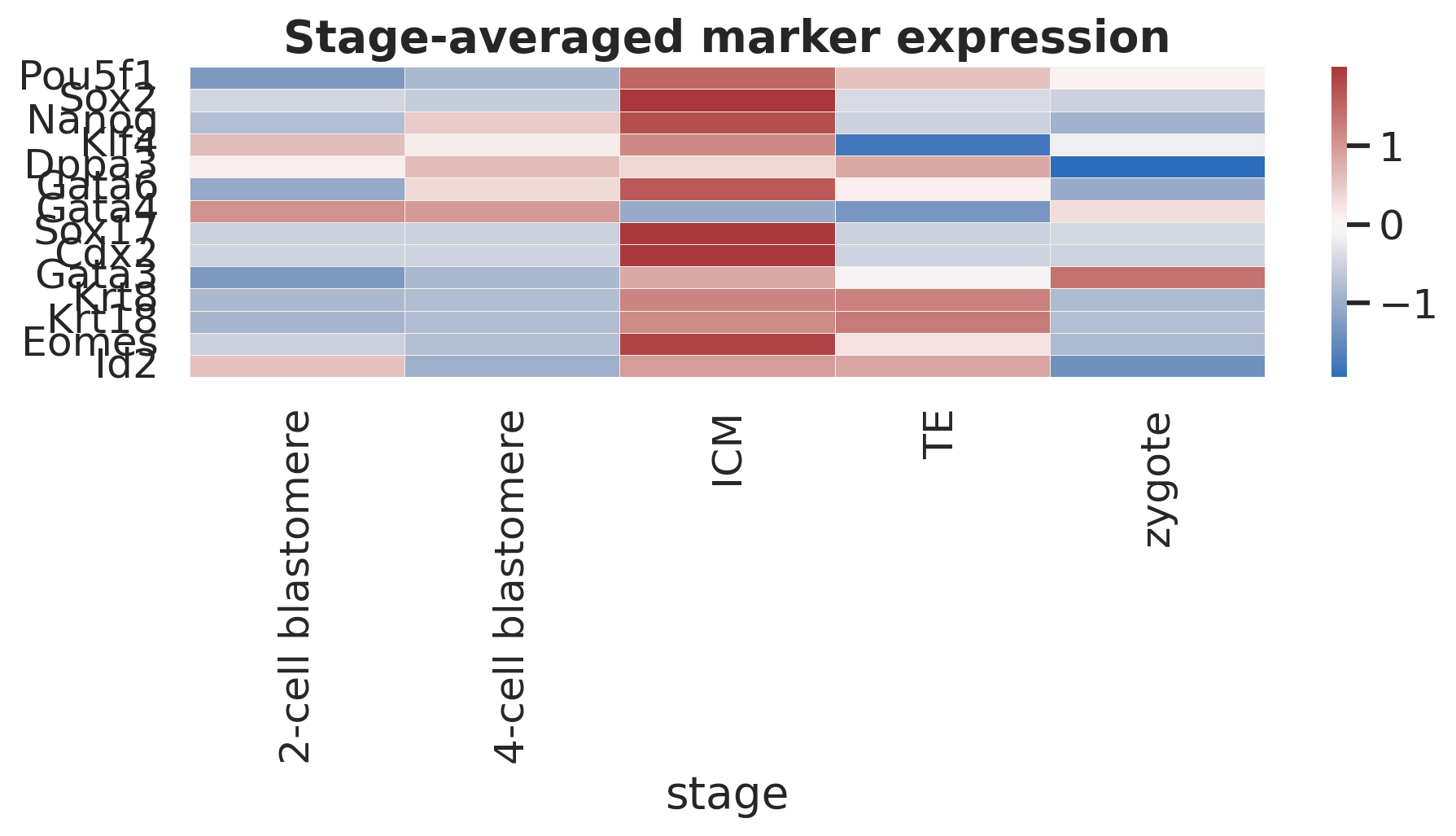 阶段平均 marker expression heatmap。它提供了比单基因散点更稳定的阶段-基因对照。
