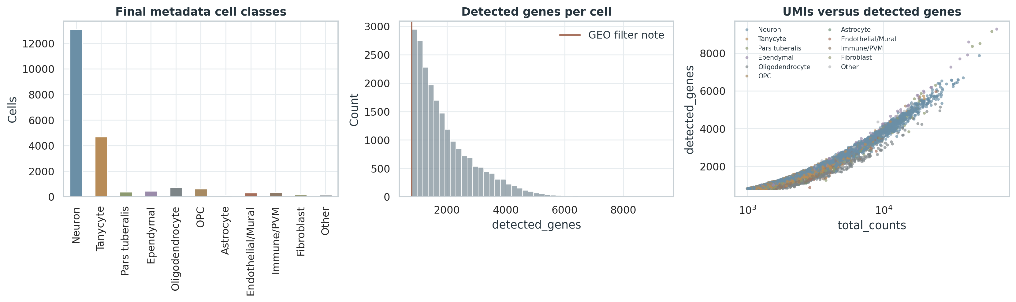 Campbell GSE93374 Arc-ME DGE 矩阵规模、detected genes 和 broad class 检查。