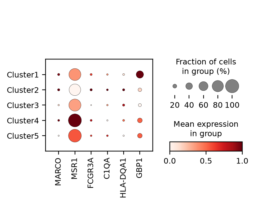 Held-out macrophage markers by author cluster