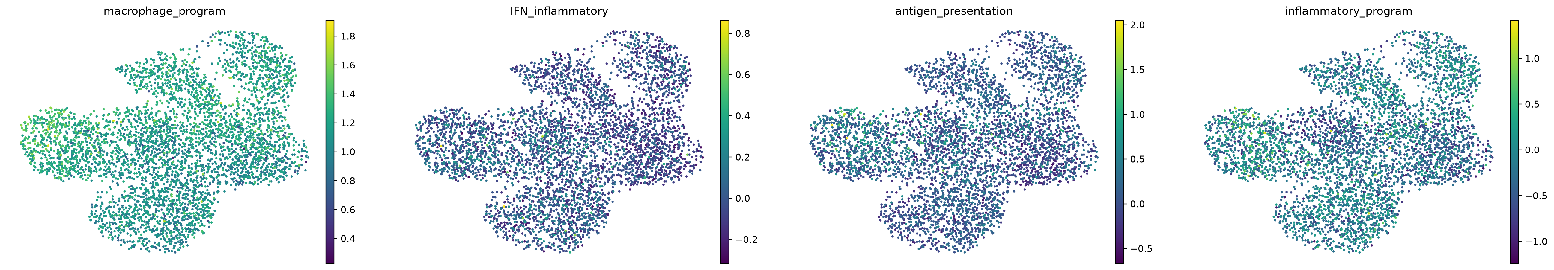 Macrophage state scores on UMAP