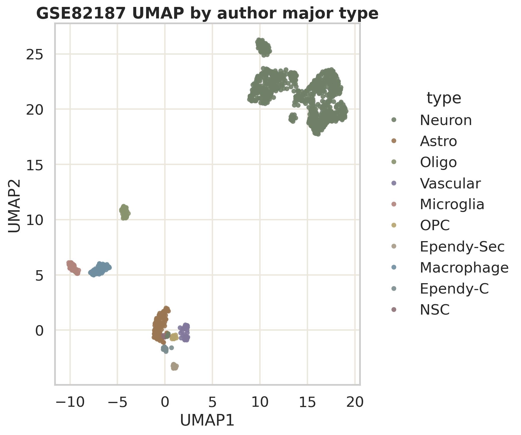 UMAP 按作者 major type 着色。Neuron 是主体，Astro、Oligo、OPC、Microglia、Vascular 等小群能形成相对清楚的表达空间。