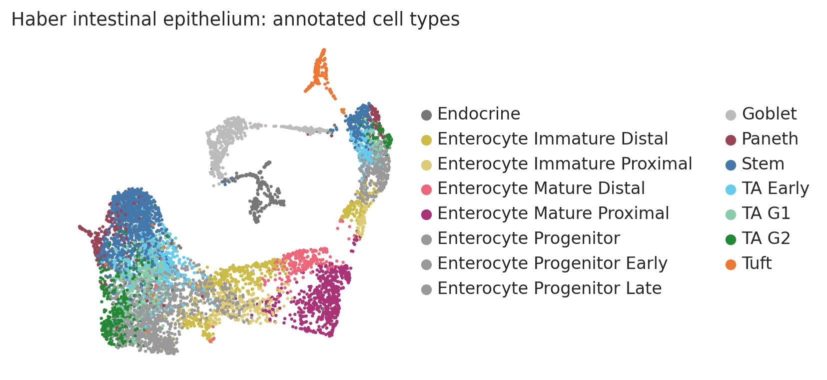 Haber intestinal epithelial UMAP