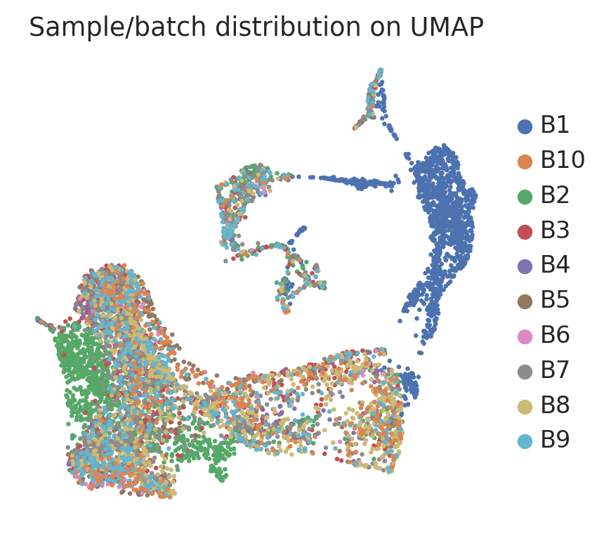 Haber 小肠上皮样本来源 UMAP