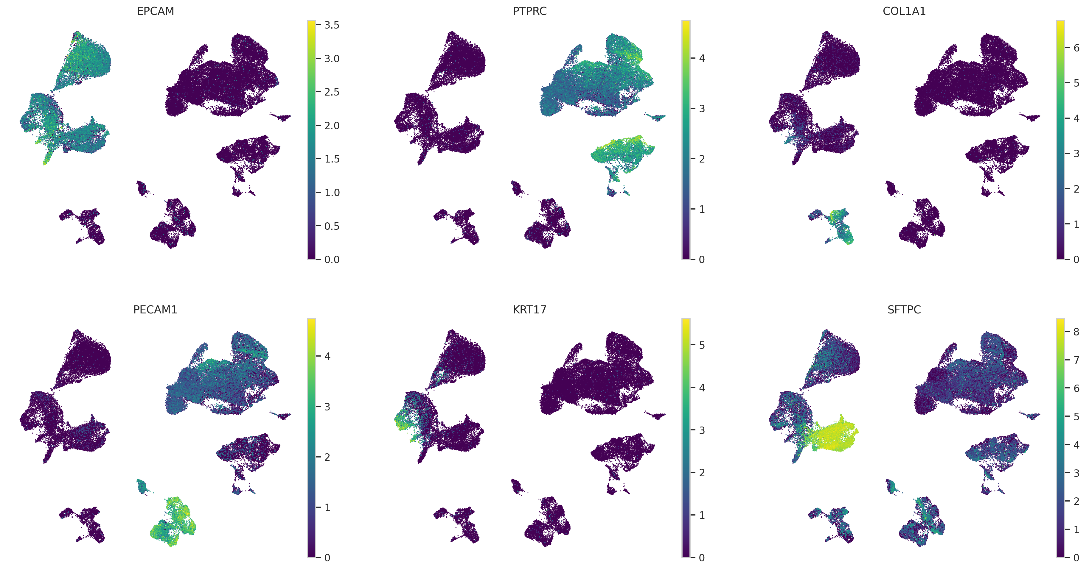 Habermann lung fibrosis canonical marker genes on UMAP