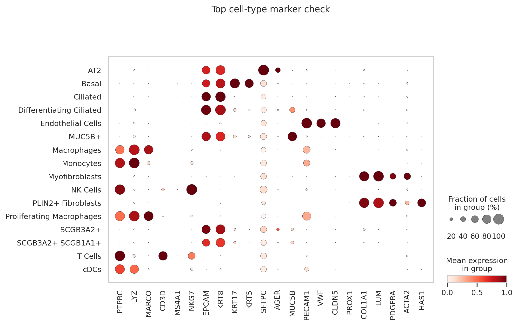 Habermann cell type marker dotplot