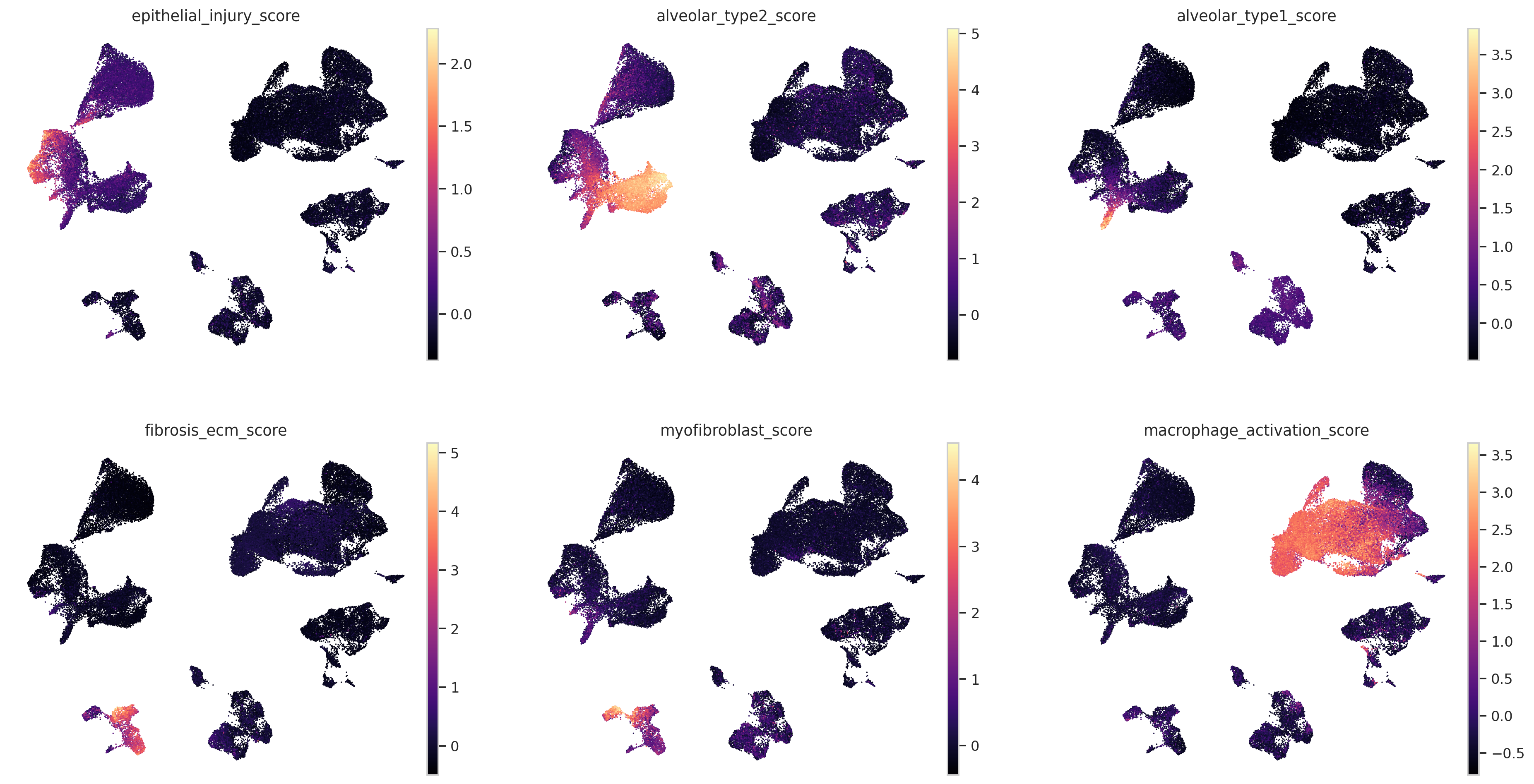 Habermann lung fibrosis signature scores on UMAP