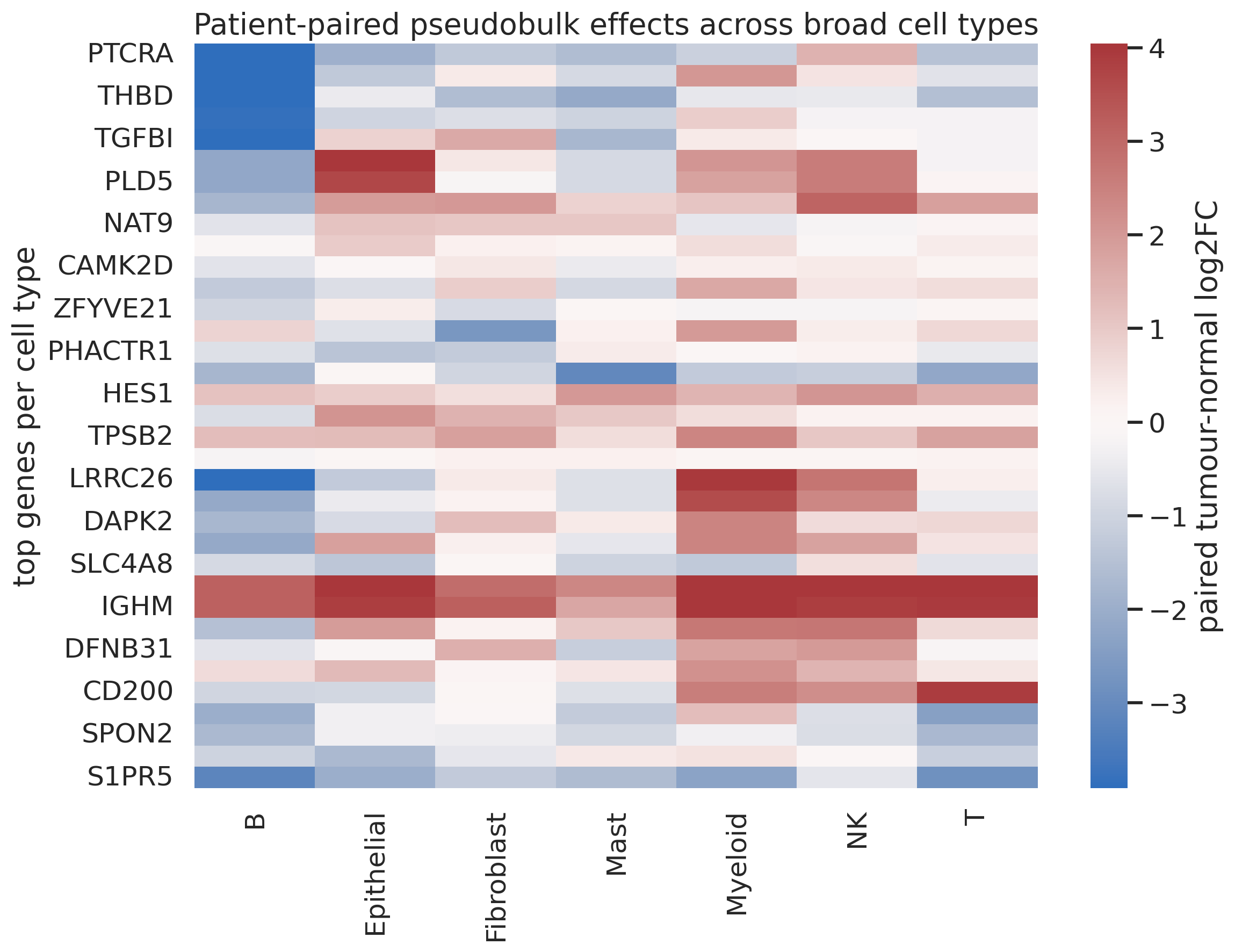 图7|患者配对 broad-cell-type pseudobulk effect heatmap