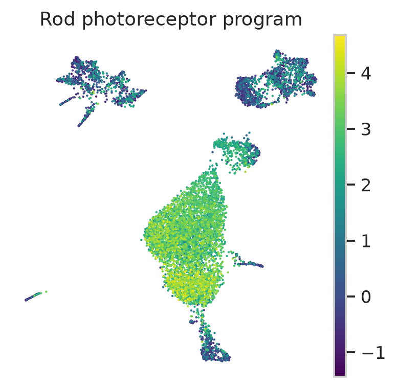 Macosko P14 retina rod photoreceptor signature