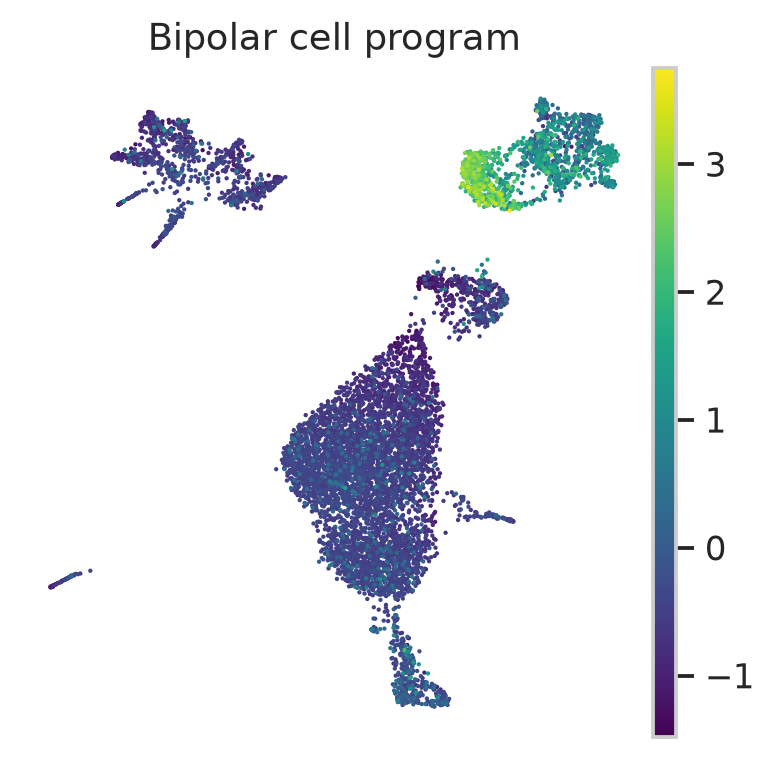 Macosko P14 retina bipolar cell signature
