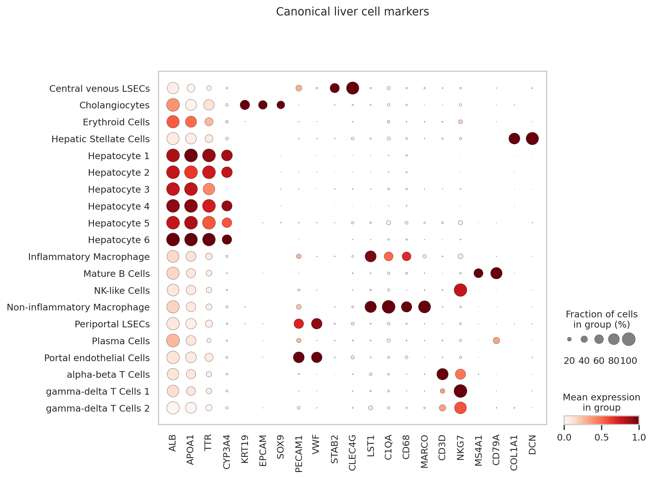 MacParland liver marker dotplot