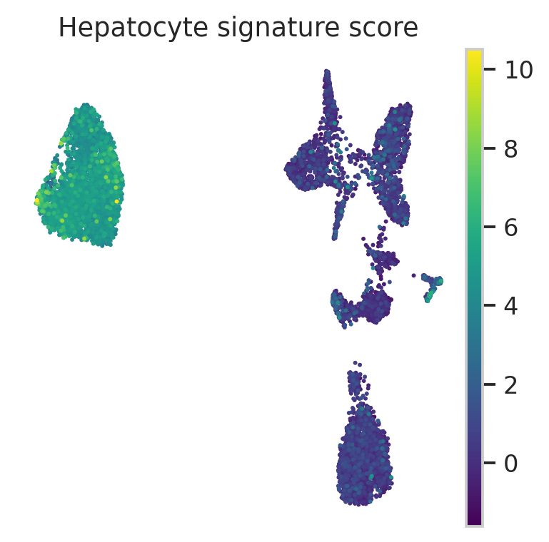 MacParland hepatocyte signature UMAP