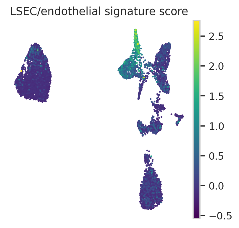 MacParland 人肝脏 LSEC endothelial signature UMAP