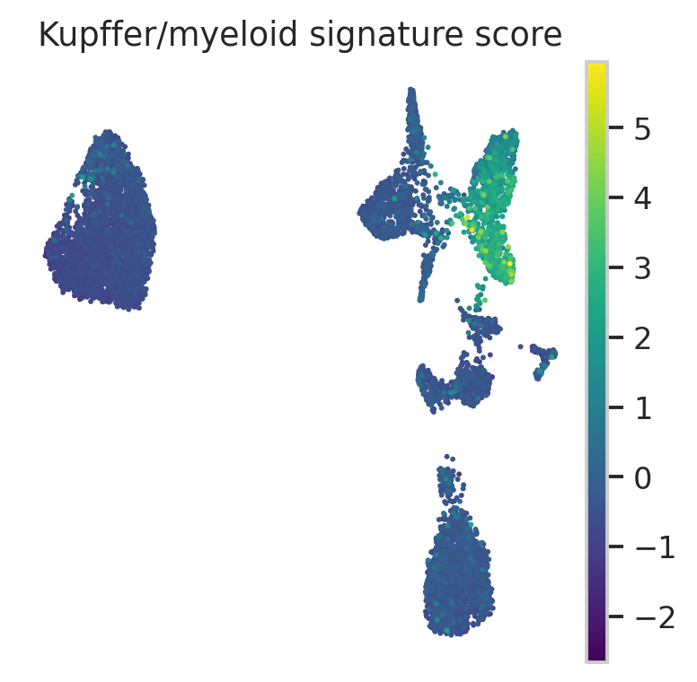 MacParland 人肝脏 Kupffer myeloid signature UMAP