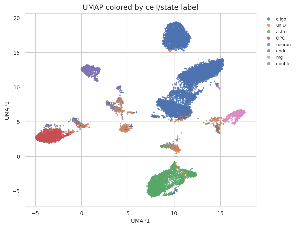 UMAP colored by major brain cell type