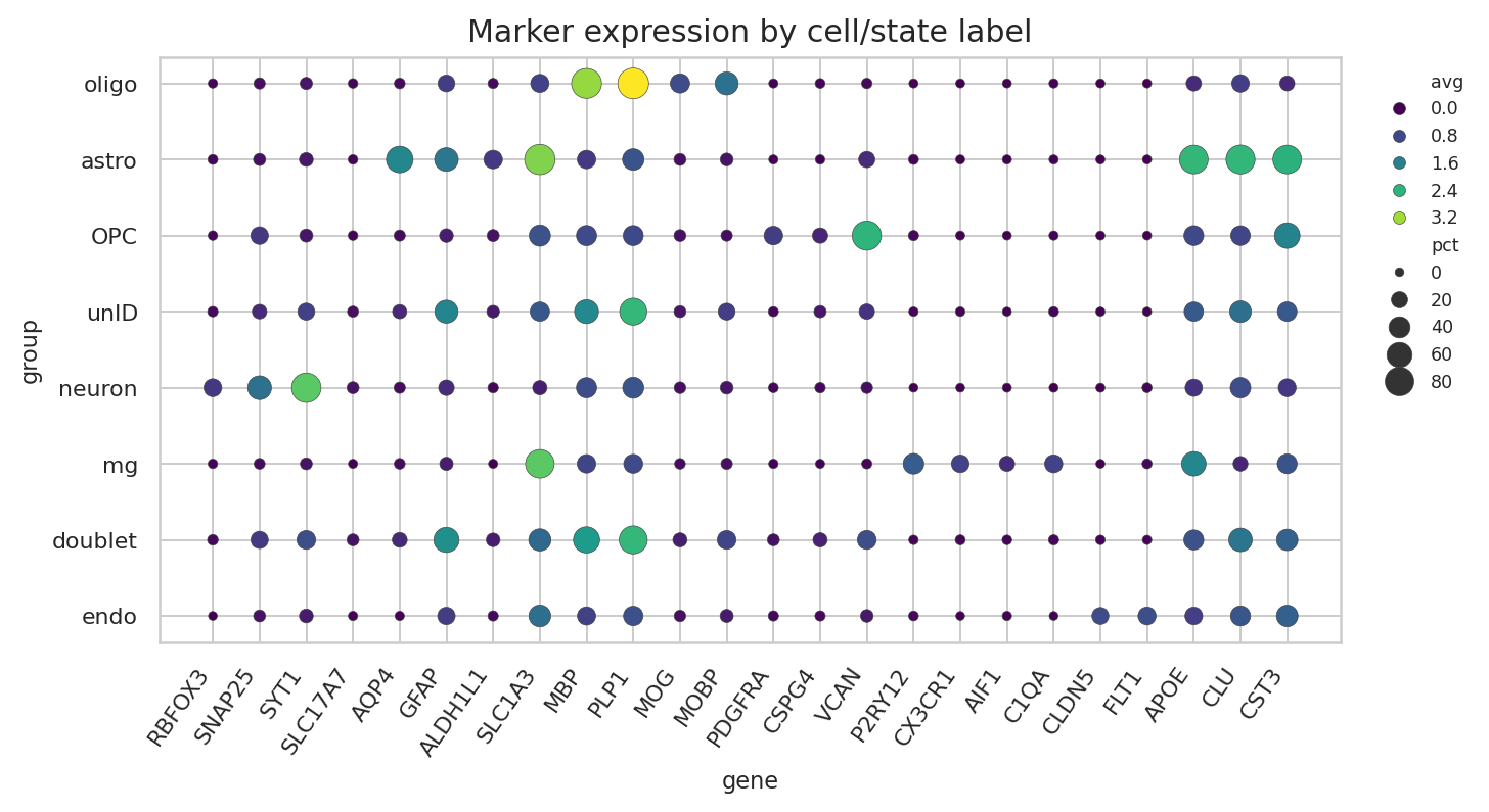 Marker dotplot for major brain cell types