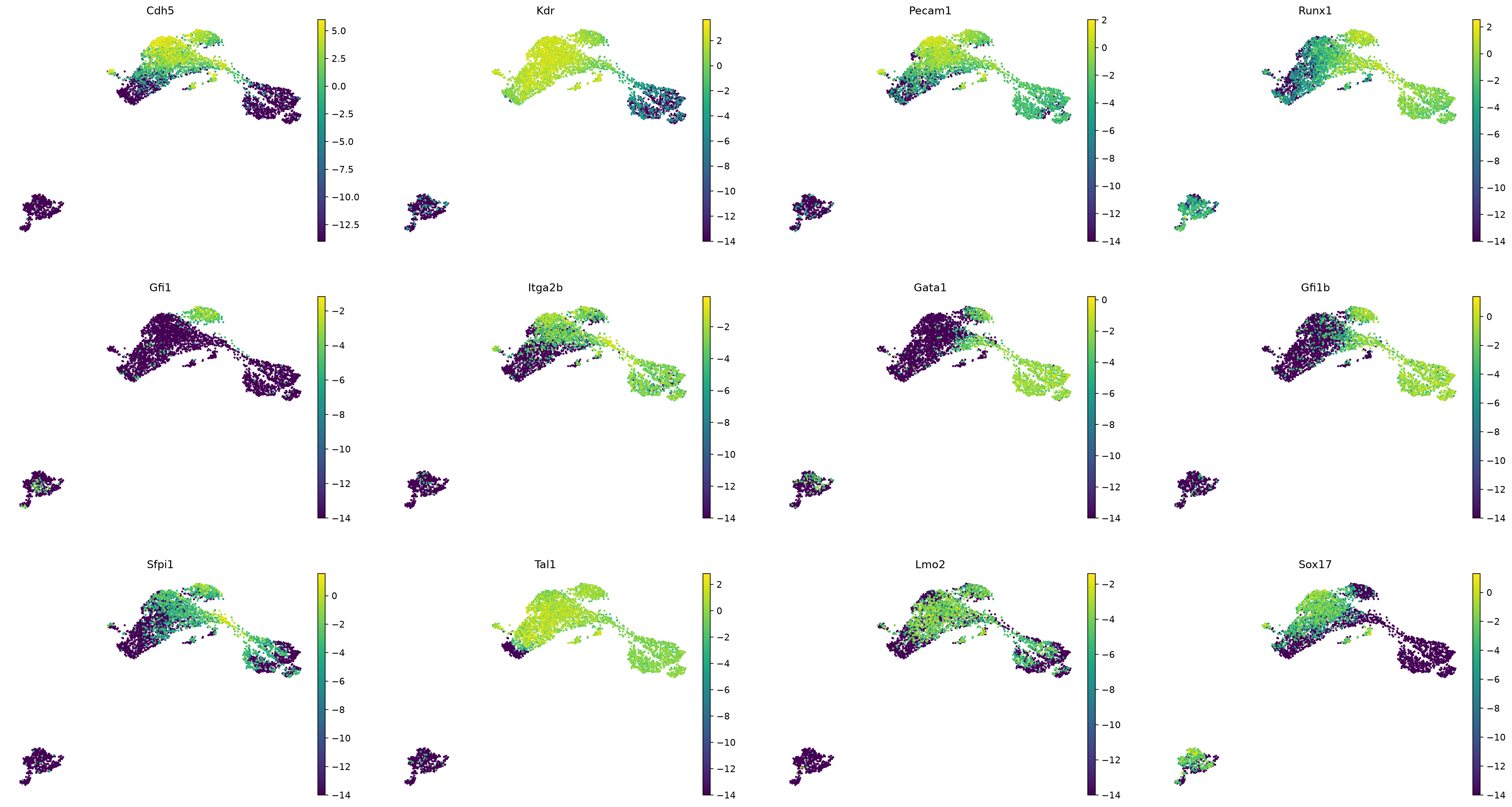 Moignard normalized dCt marker genes on UMAP