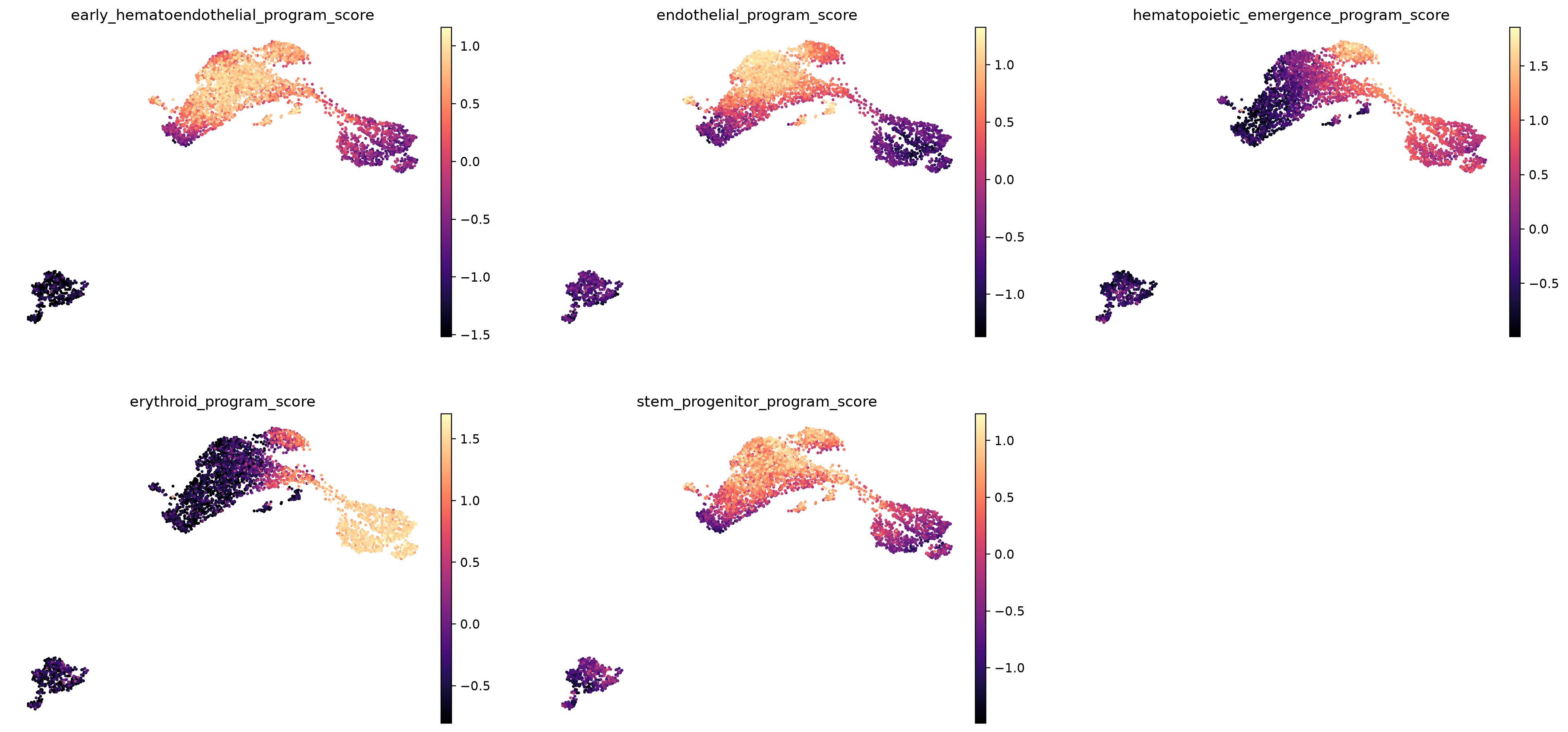 Moignard continuous program scores