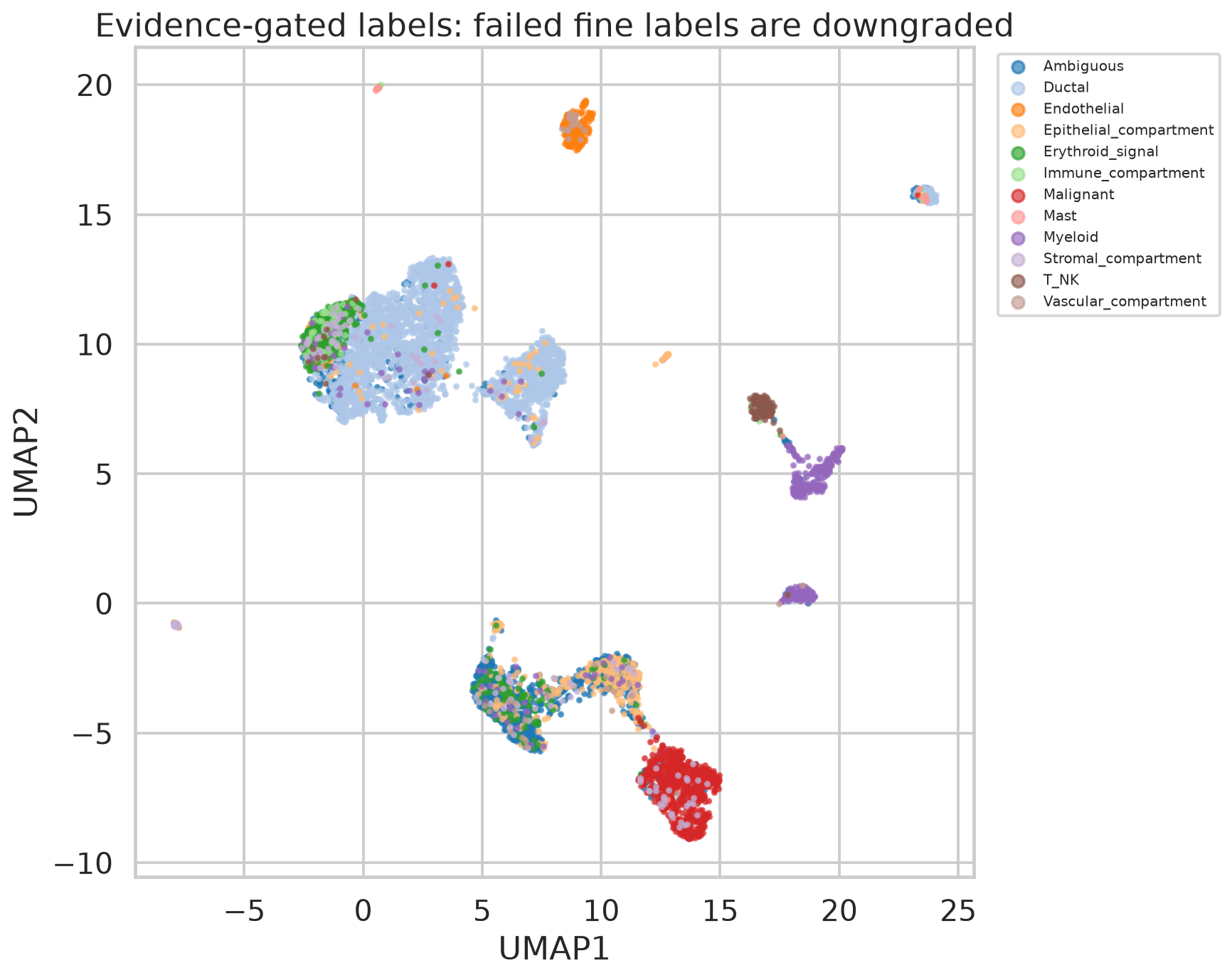 通过 patient-label evidence gate 后的标签 UMAP