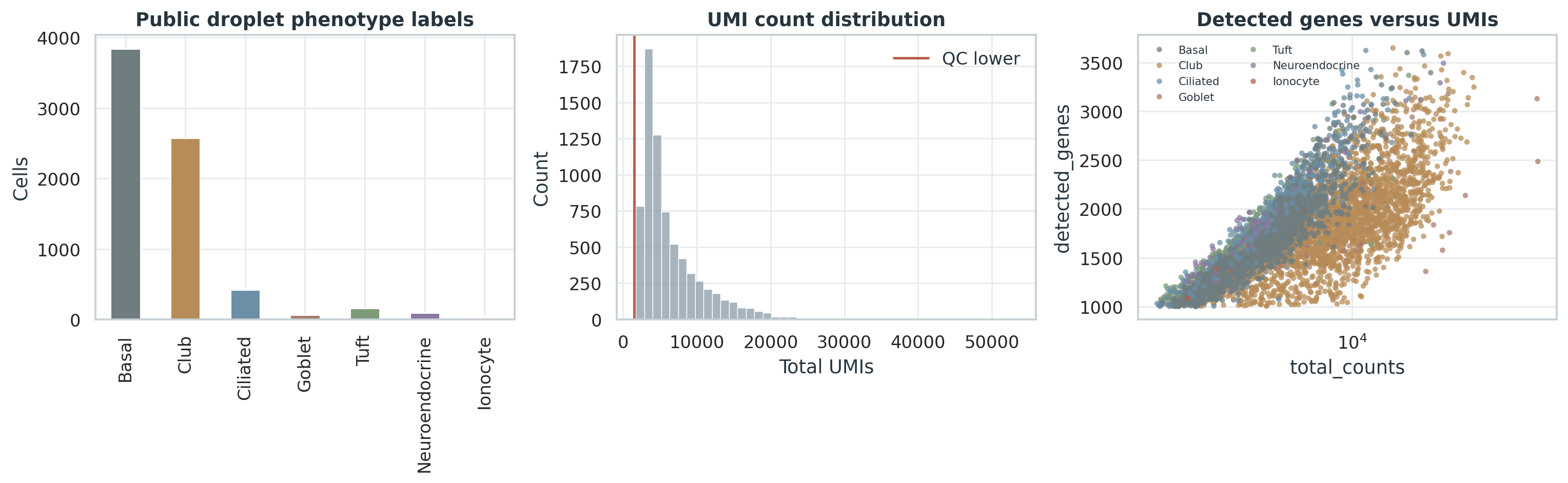Montoro GSE103354 droplet UMI 矩阵规模、UMI 分布和 detected genes 检查。