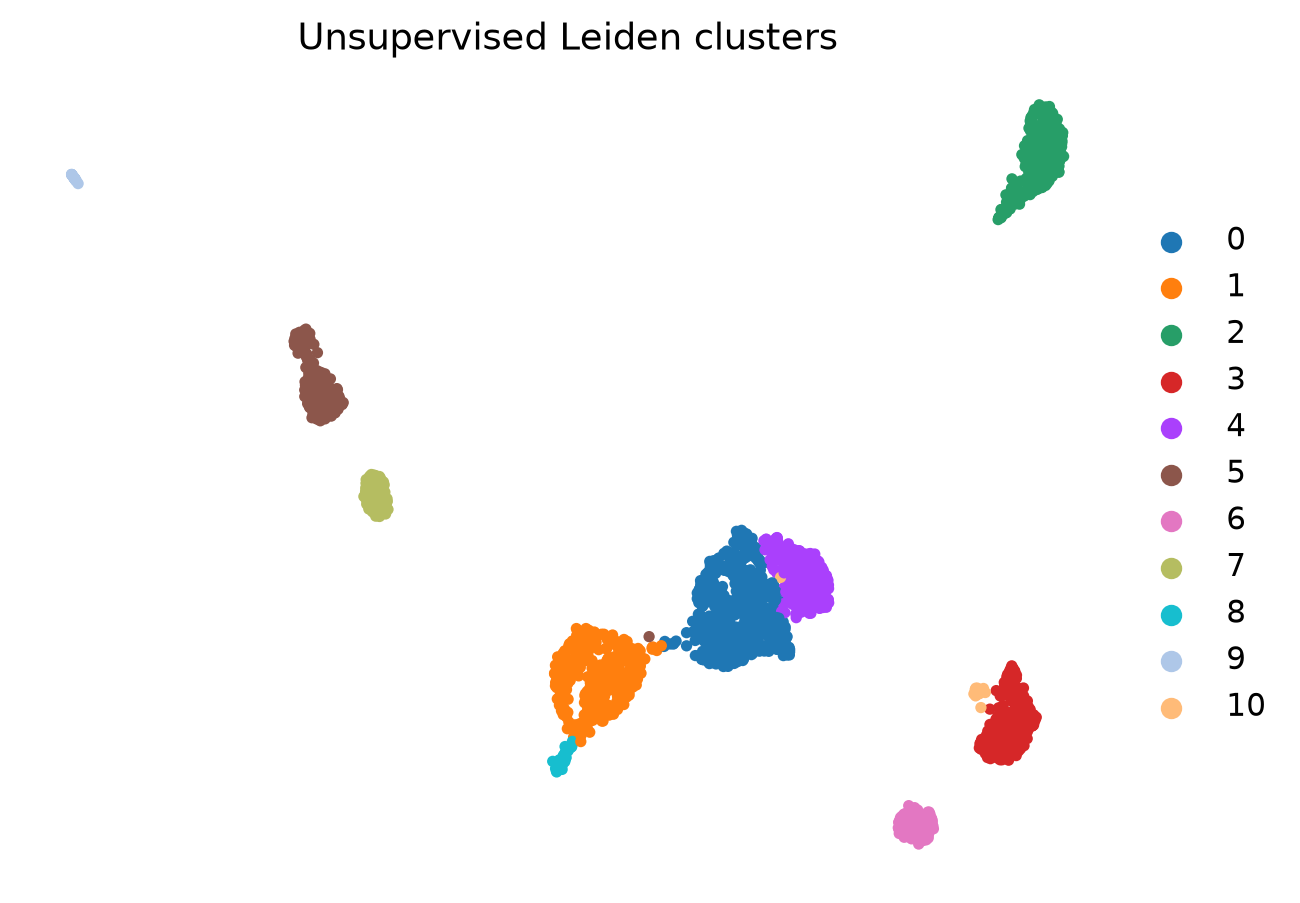 Muraro 人胰腺数据无监督 Leiden cluster