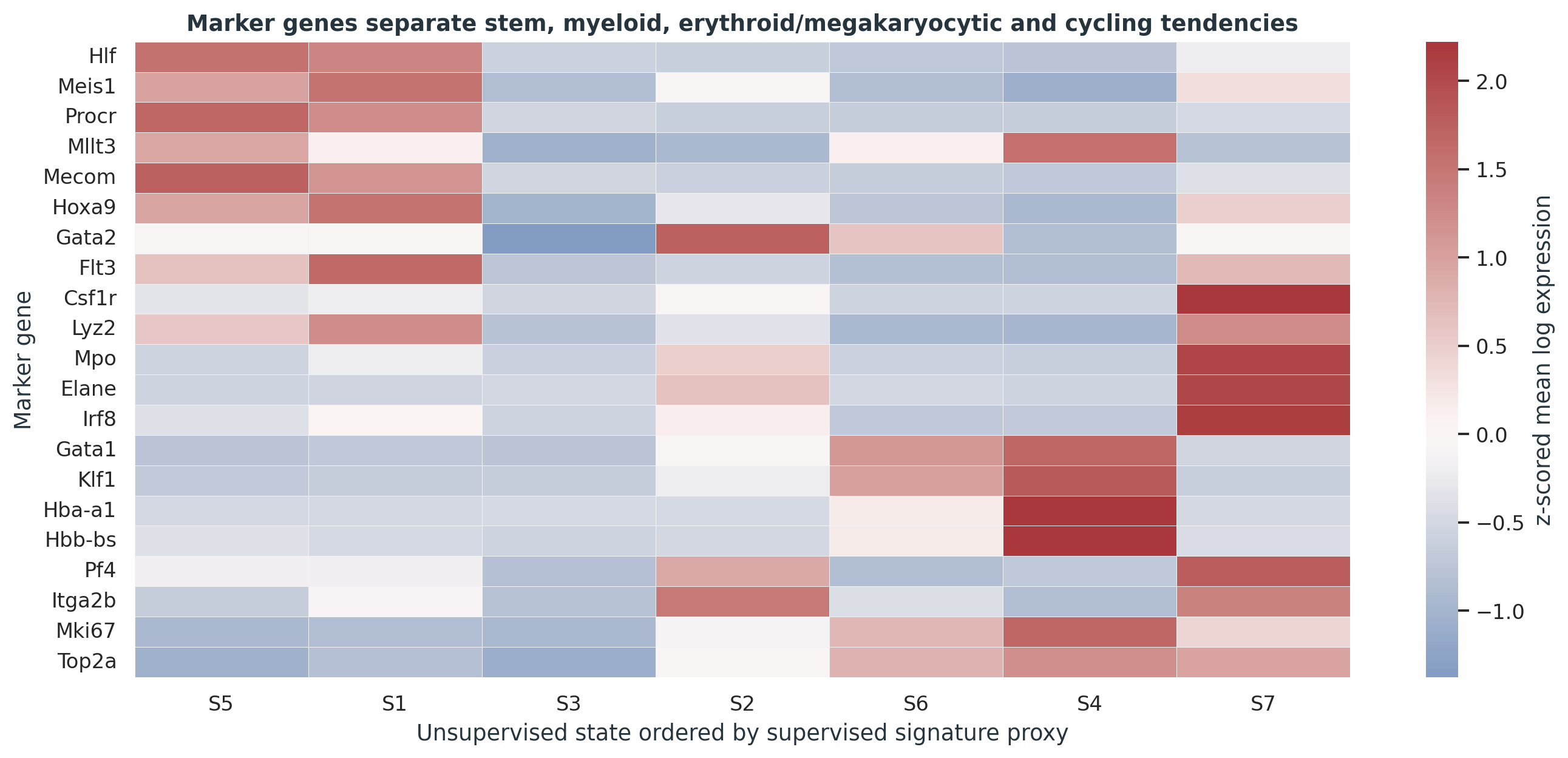 代表性 stem、myeloid、erythroid/megakaryocytic 和 cell-cycle marker 在表达状态中的 heatmap。