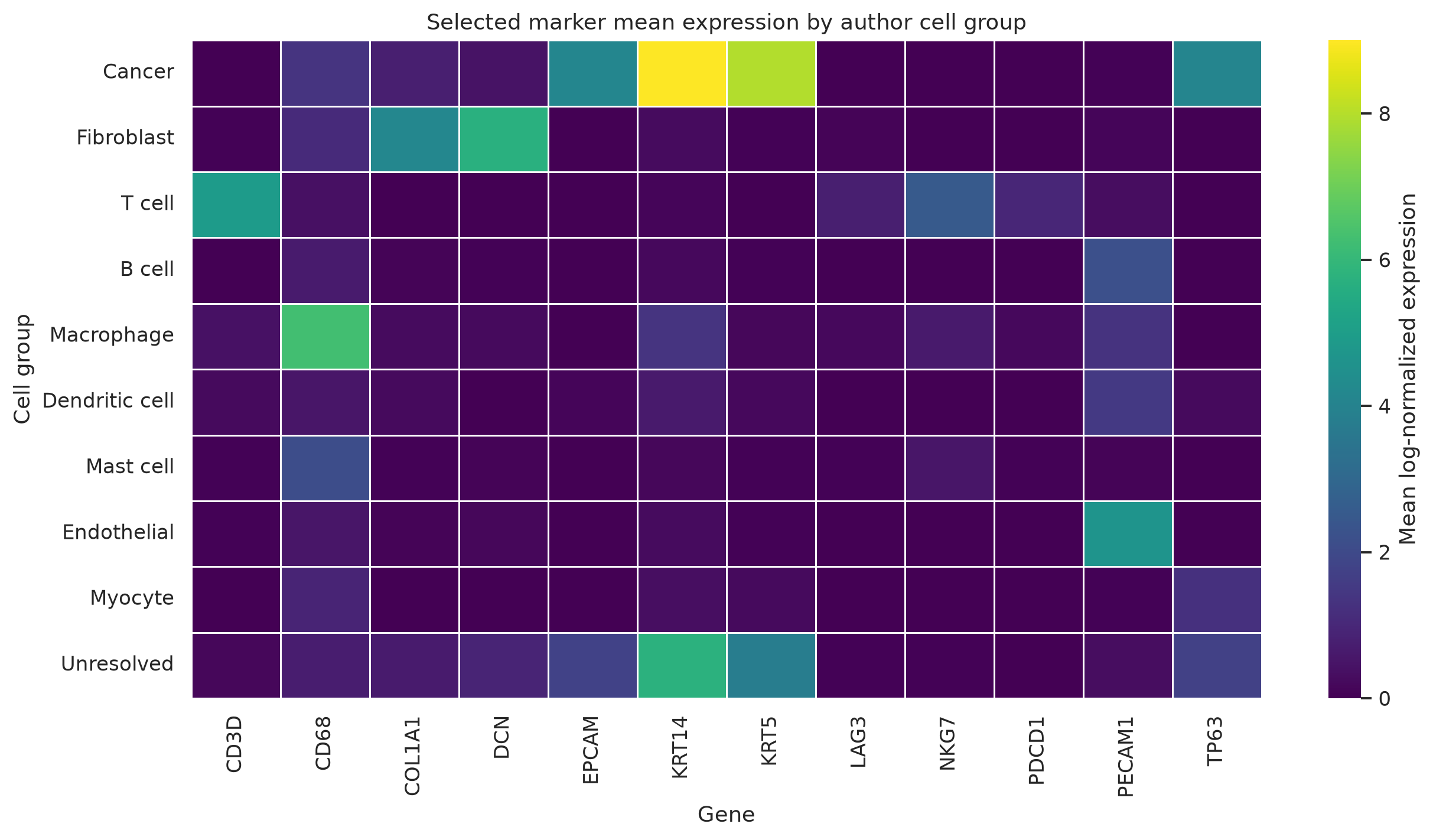 Puram HNSCC selected marker heatmap