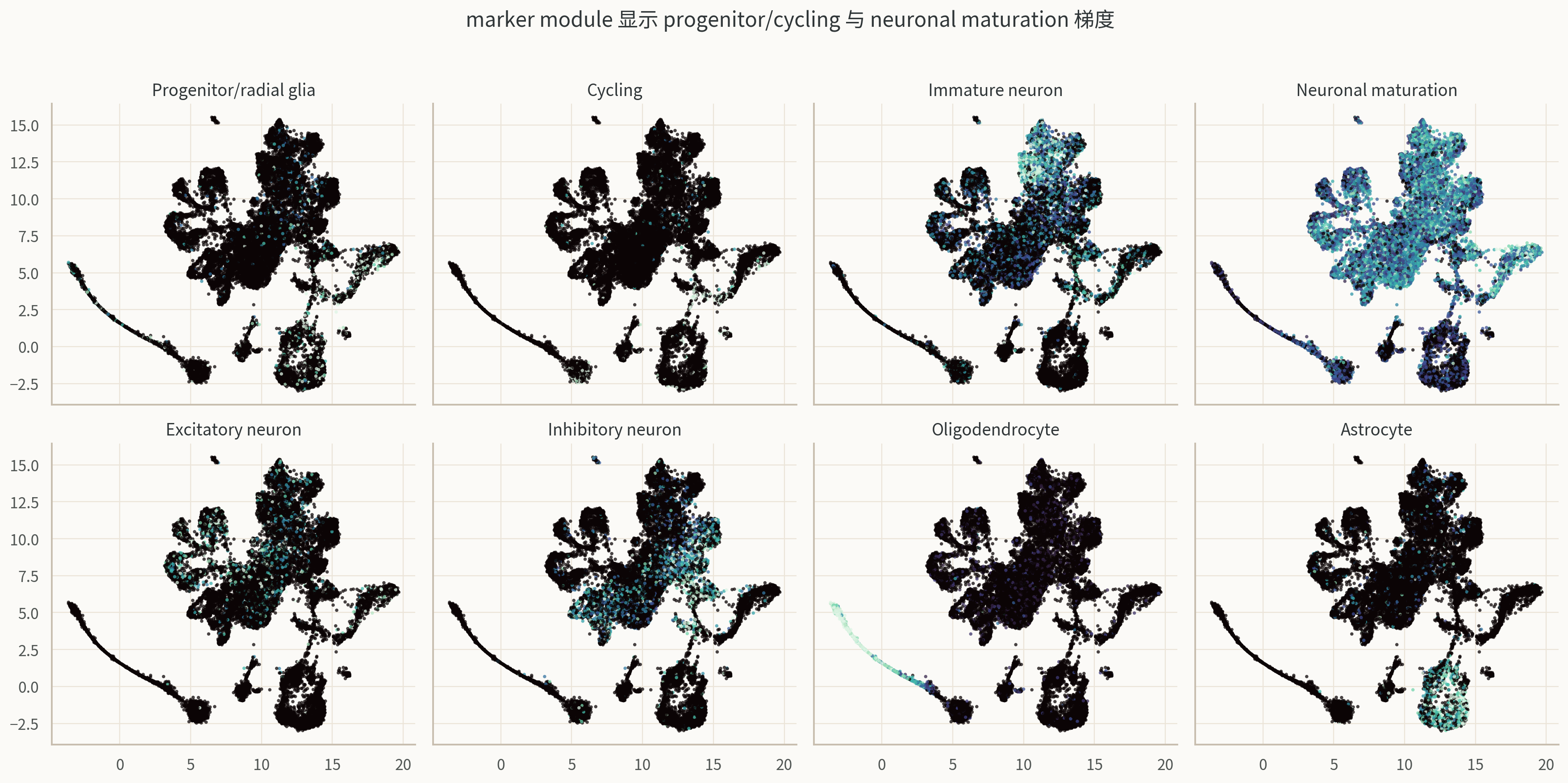GSE110823 development module scores on sampled UMAP。