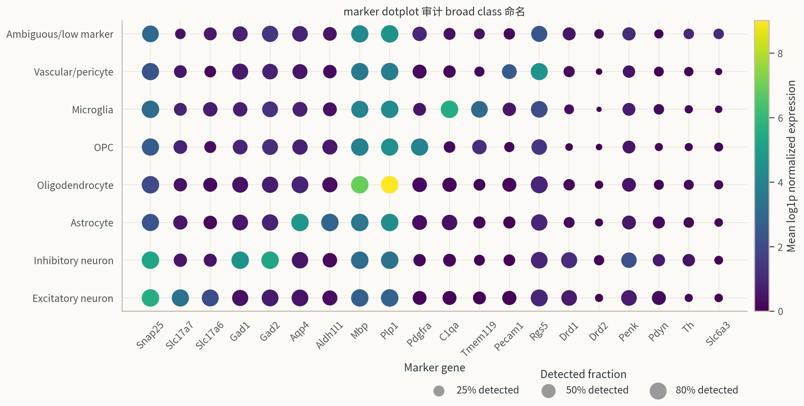 Saunders DropViz broad class marker dotplot。