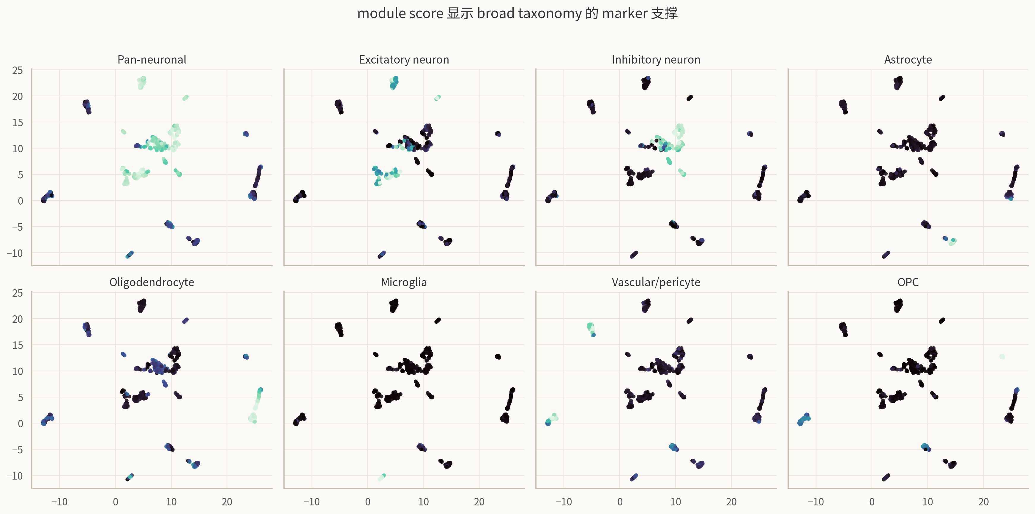 Saunders DropViz broad class module scores on UMAP。
