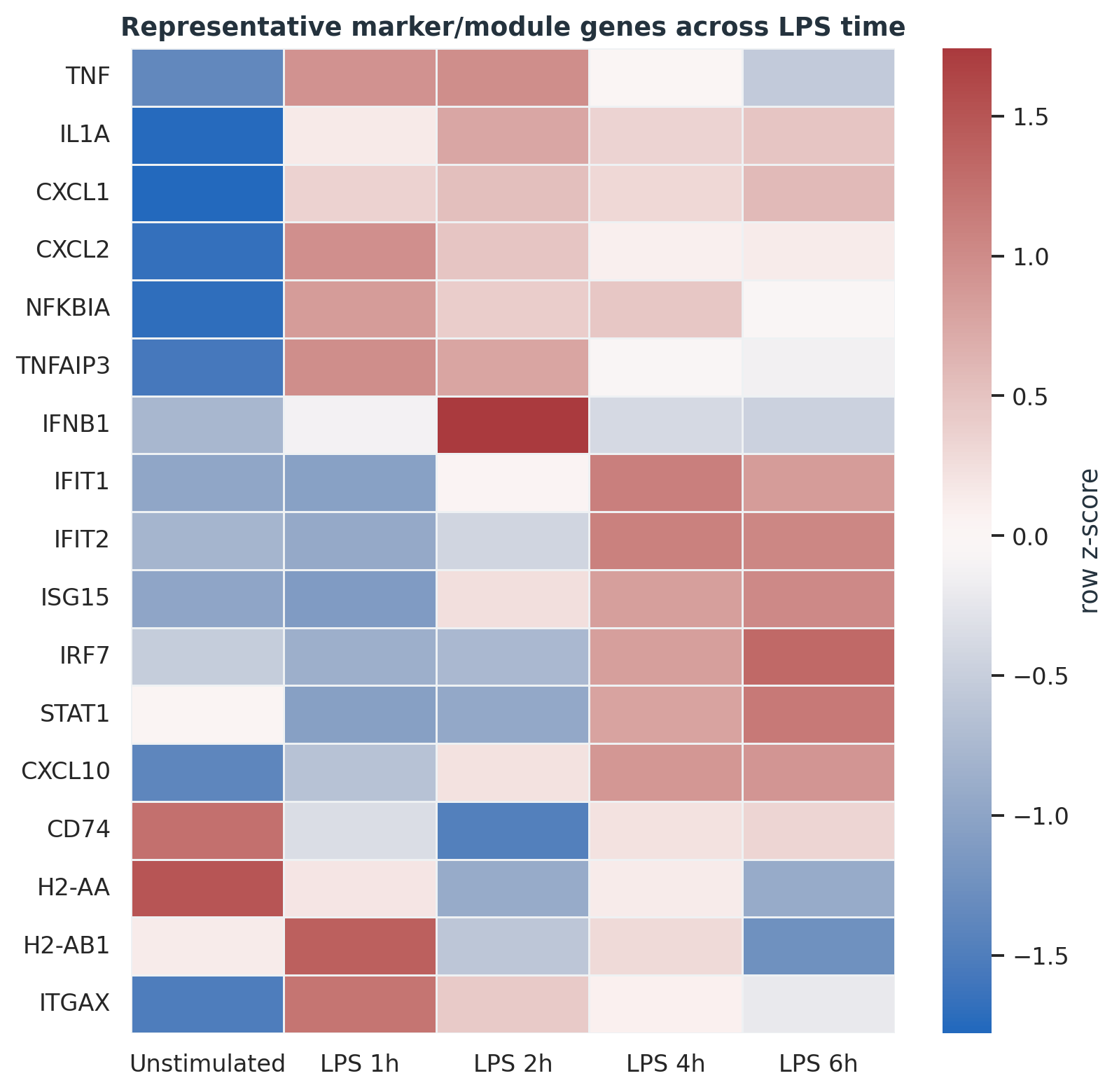 代表性炎症、IFN 和 DC 背景 marker 在 LPS 时间线中的表达 heatmap。