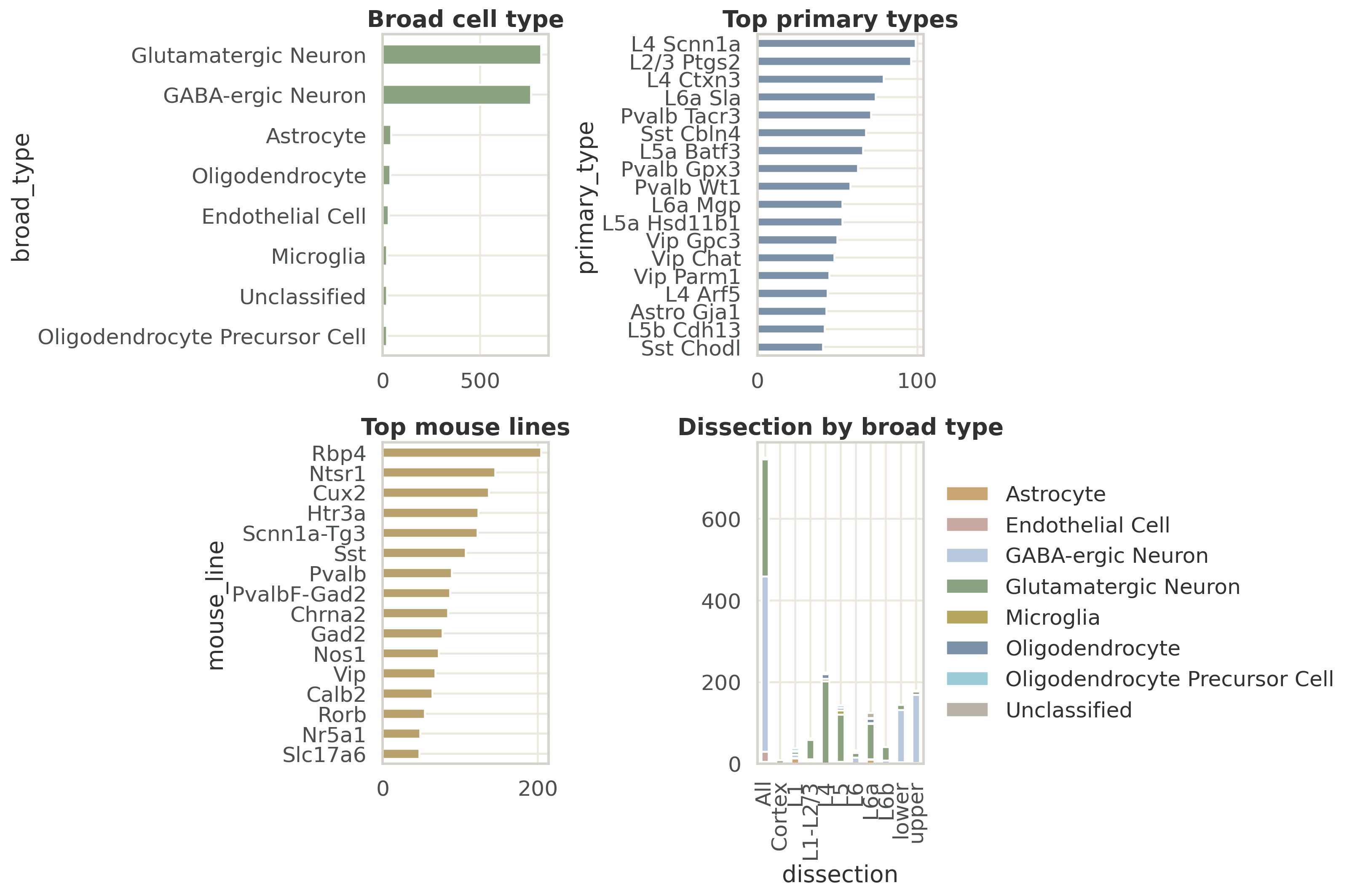 Tasic visual cortex dataset overview