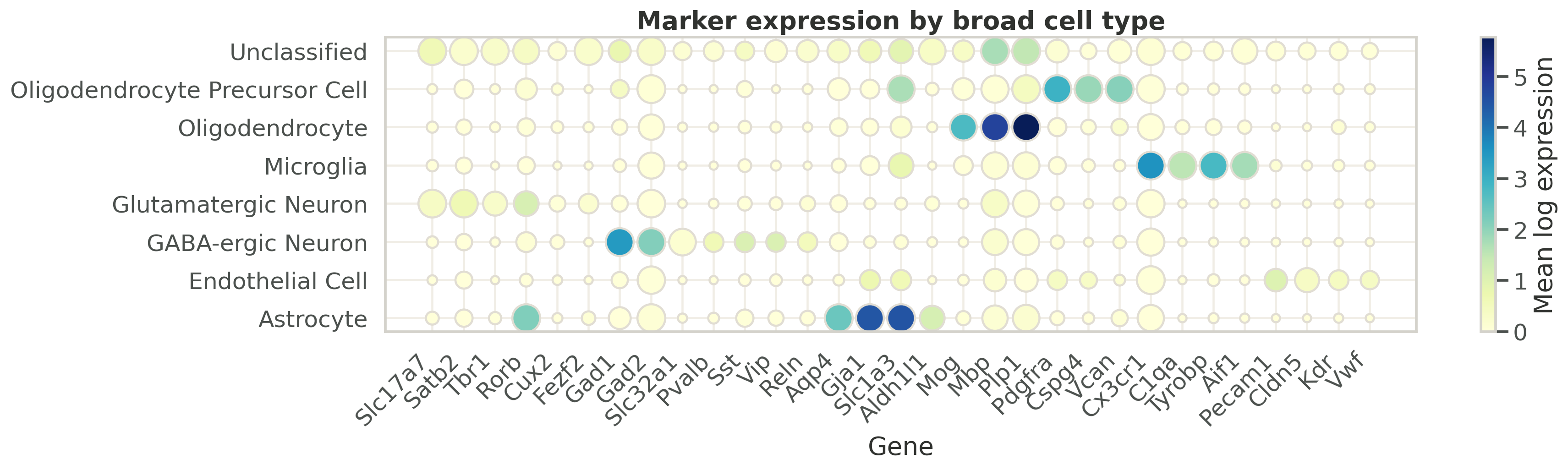 Tasic marker dotplot