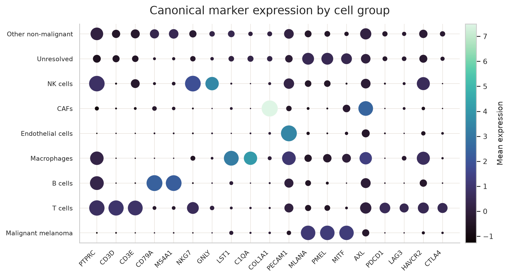 主要细胞群的经典 marker dotplot