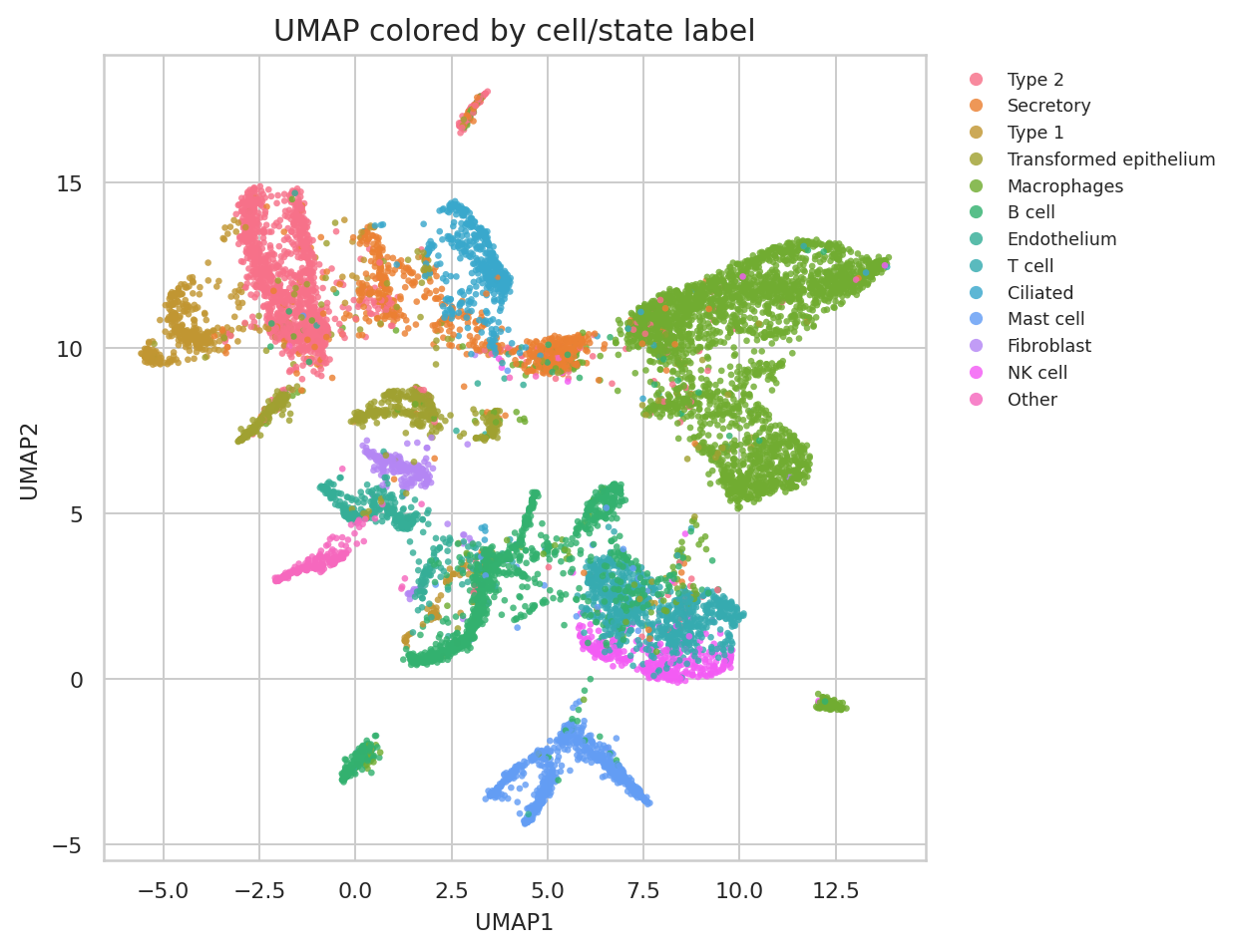 UMAP colored by public lung cell type labels