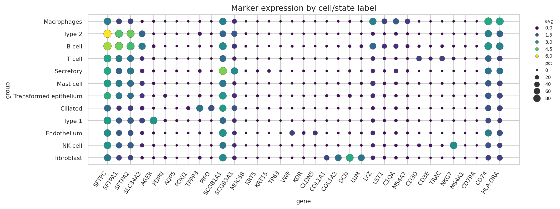 Marker dotplot for public lung subset labels