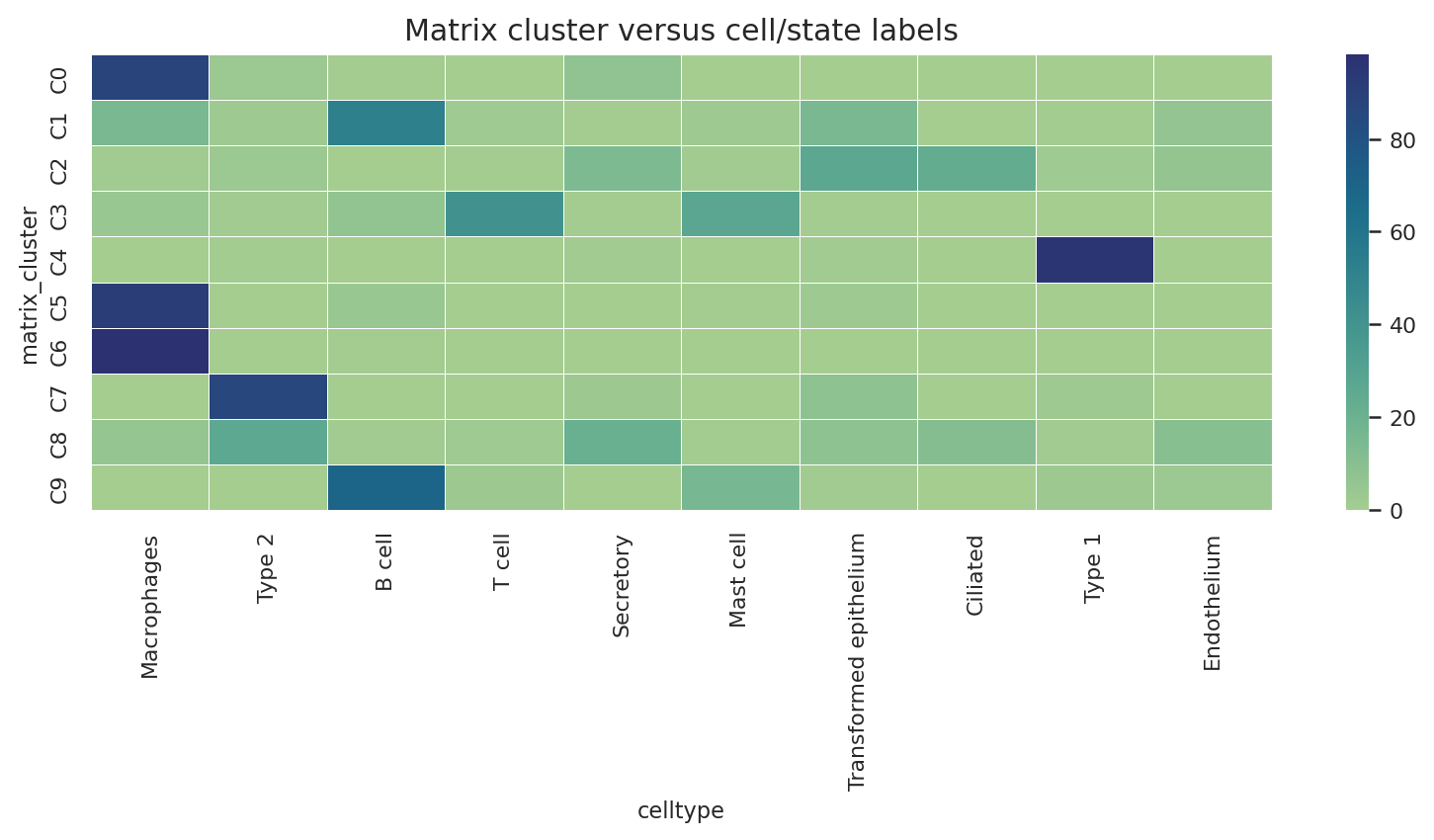 Cluster and public cell type label crosswalk