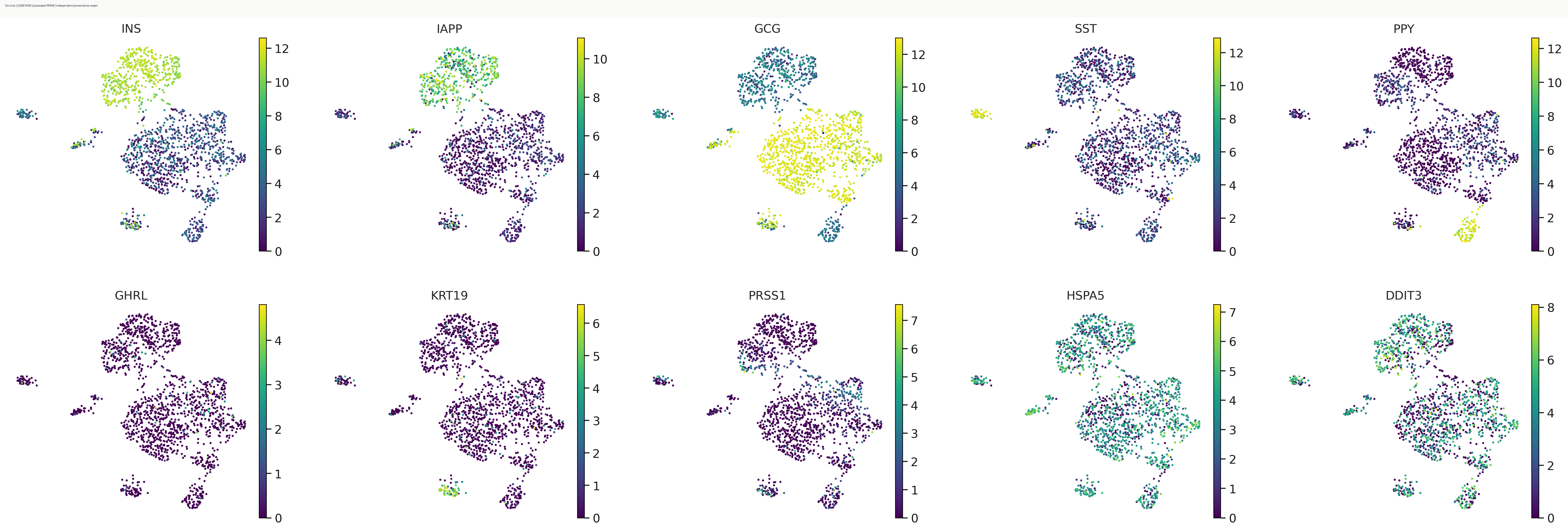 Xin human islet marker genes on UMAP