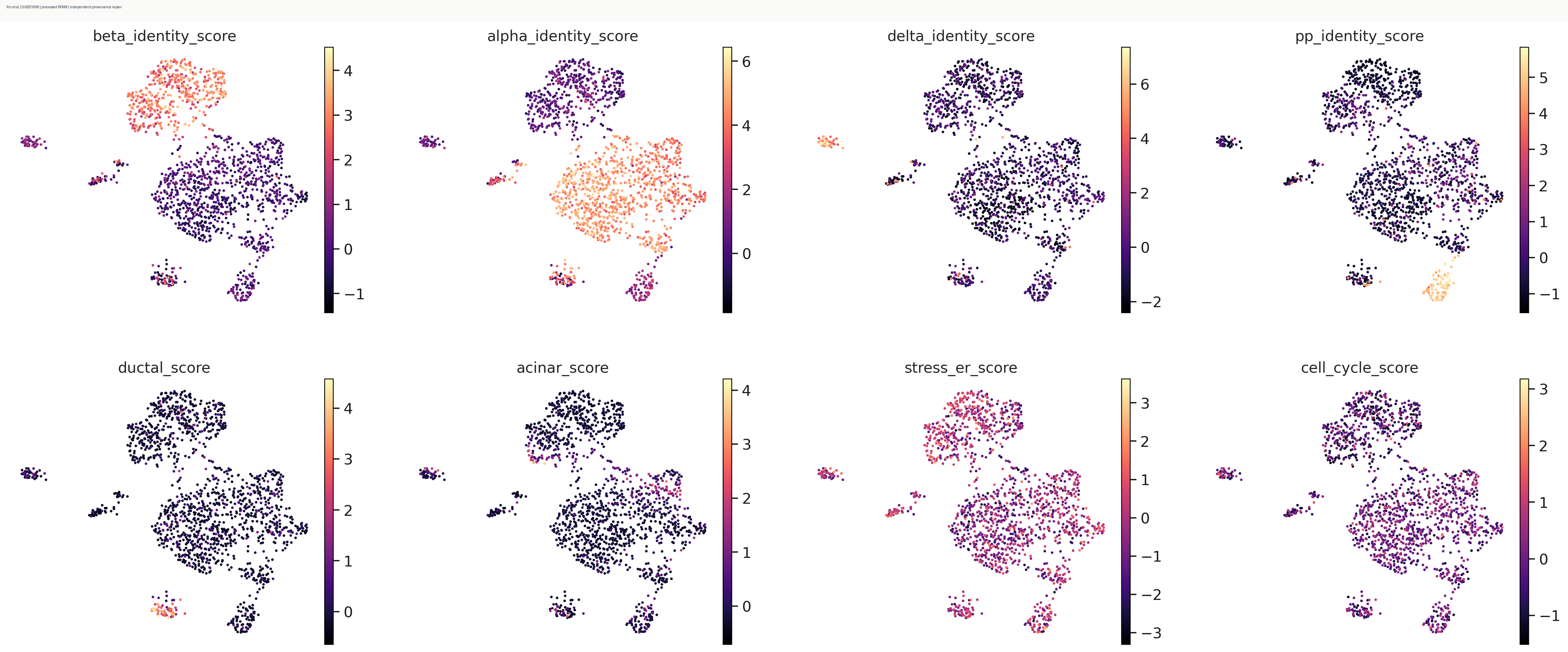 Xin human islet signature scores on UMAP