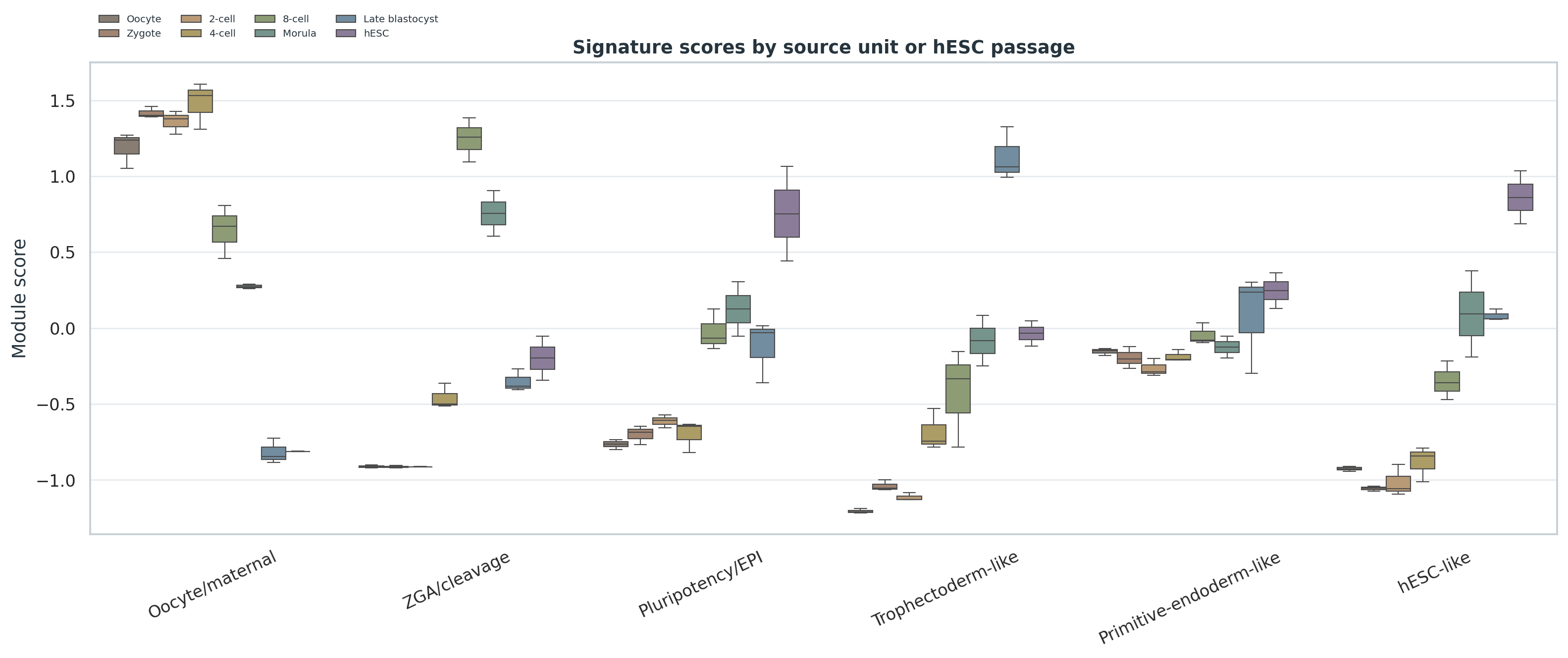 Yan GSE36552 各发育阶段 signature score 分布。