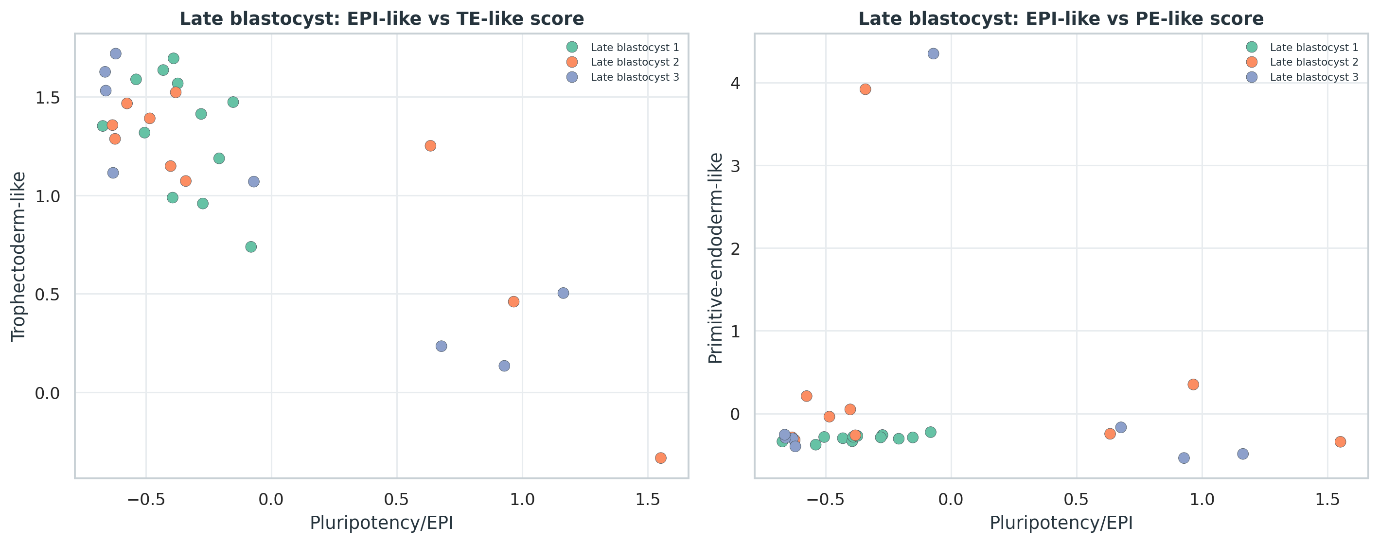 Yan GSE36552 late blastocyst TE/EPI/PE-like score clues。